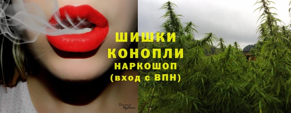 2c-b Верхний Тагил