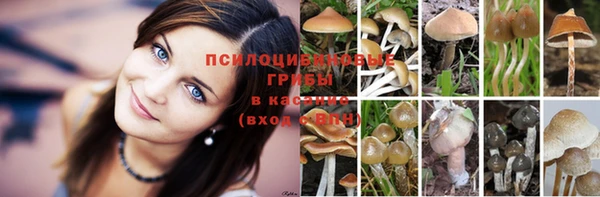 меф Инта