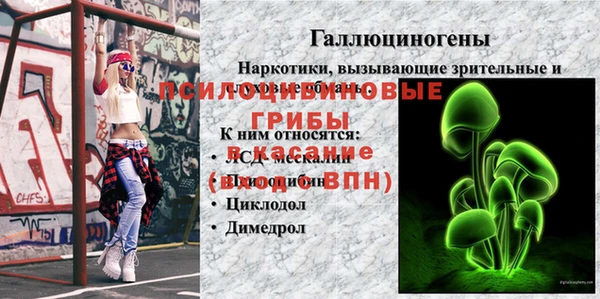 2c-b Верхний Тагил