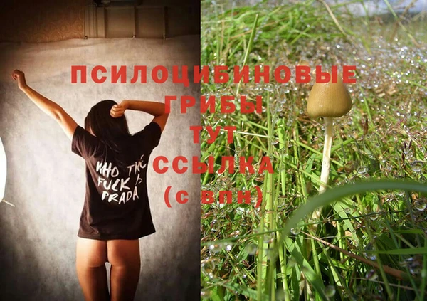 ECSTASY Сосновый Бор