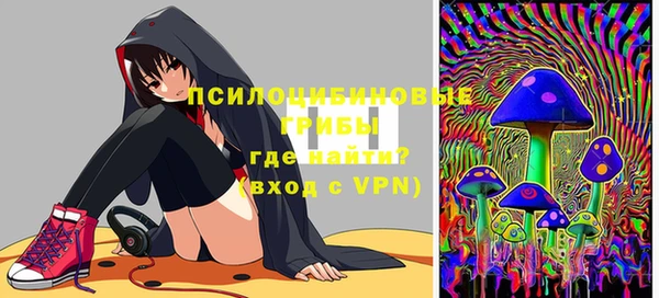 шишки Инсар