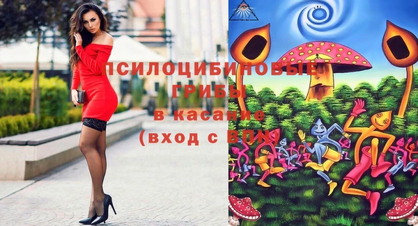 2c-b Верхний Тагил