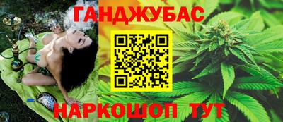 мдпв Гай