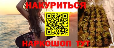 мдпв Гай