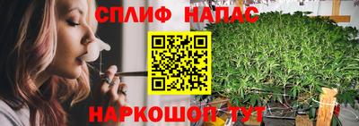 мдпв Гай