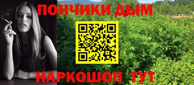 мдпв Гай