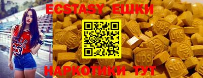 a pvp Гатчина