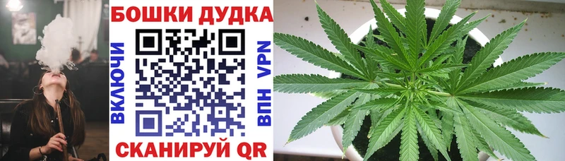 KRAKEN ссылки  Елизово  Бошки марихуана марихуана  купить наркотик 